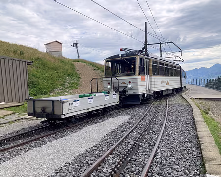 20230729-09h58m48s-IMG_6472-V3