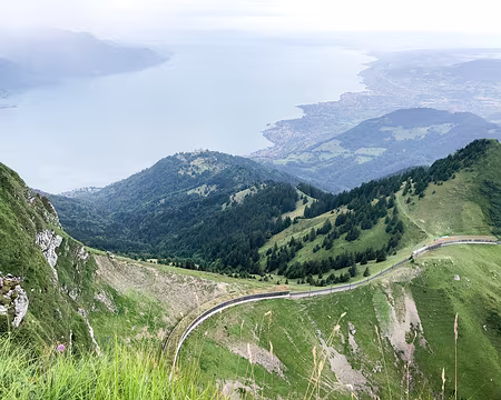 20230729-12h00m39s-V4