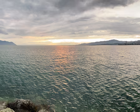 20230729-20h33m37s-IMG_6480-V3