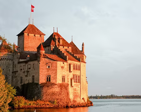 20230729-20h40m07s-V4 magique !