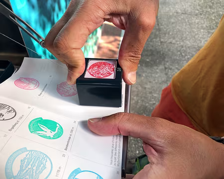 20230730-09h36m41s-V4 Certains tamponnent toujours !