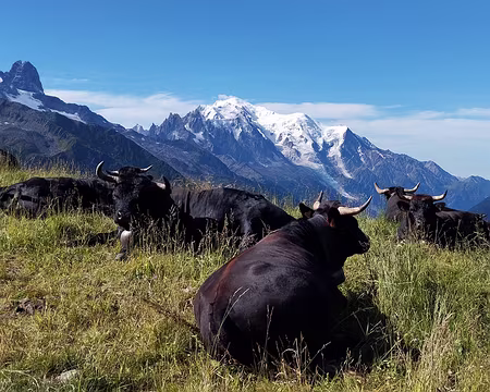 55-IMG_20230810_100456