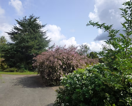 P1170446 Cimetière paysager de l'Orme au Berger, Magny-les-Hameaux