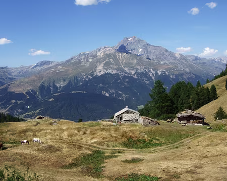 DSCF2272_LaDentParrachee