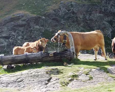 DSCF2291 Salle de bain du refuge d'Ambin occupée.