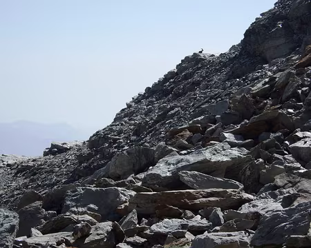 DSCF2305 Bouquetin de loin