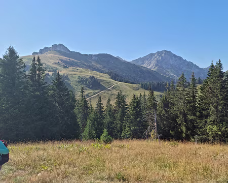 008 Le Pic Boré (1.974 m) et une partie des pistes de ski de Thollon-les-Mémises