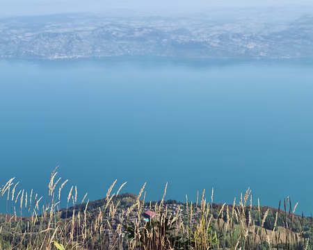 009 Du Pic des Mémises, l'on domine le Léman de 1.300 m