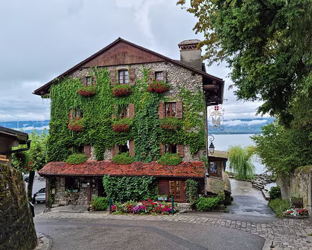 068 Le matin, pas un touriste !