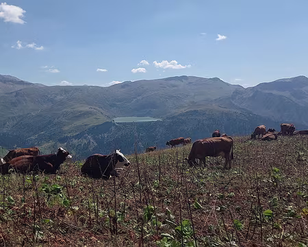 au loin Lac de la Girotte au loin Lac de la Girotte