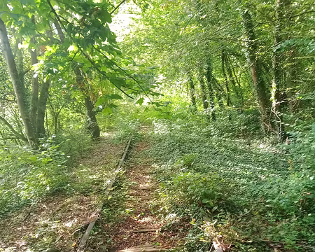 IMG_20230930_114442023