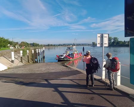 IMG_20231001_100313901