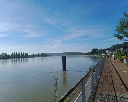 IMG_20231001_123021951