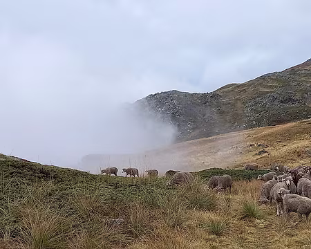 006cl.jpeg En allant au lac de la Cula.