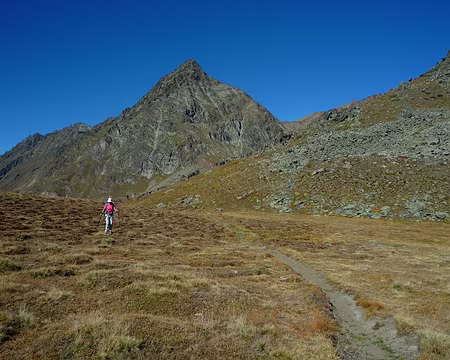 P1330814 Dans la pampa !