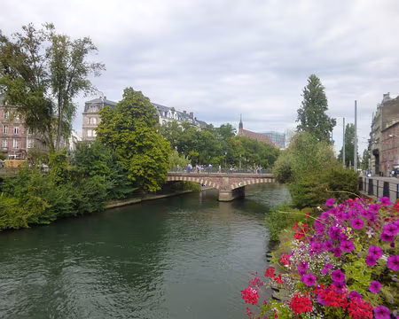 P1170568 L'Ill et la Petite France