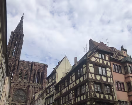 P1170579 Cathédrale Notre-Dame (XIIè -XVè s.)...