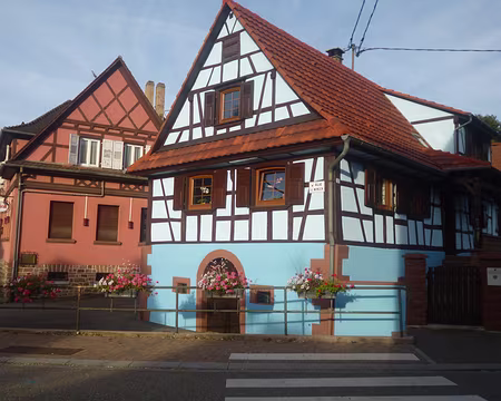 P1170590 J2 - Maisons alsaciennes à Climbach