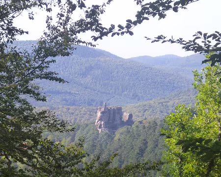 P1170592 Château de Fleckenstein