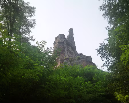 P1170594 Fleckenstein