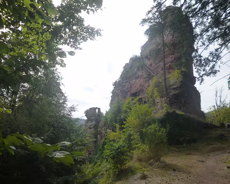 P1170596 Château de Froensbourg (alt. 310 m)...