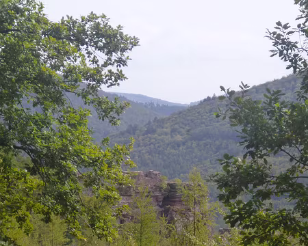 P1170603 Froensbourg