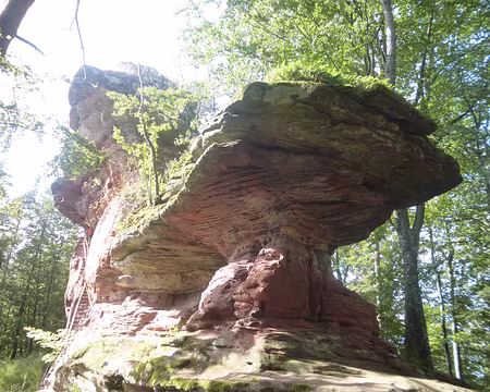 P1170605 Rocher Zigeunerfels (alt. 456 m.)