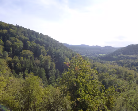 P1170613 ...sur la forêt vosgienne.