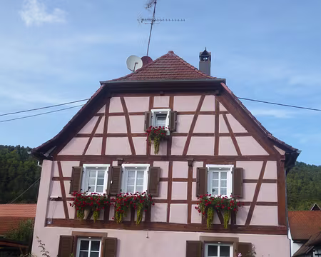 P1170617 Obersteinbach (alt. 240 m.)