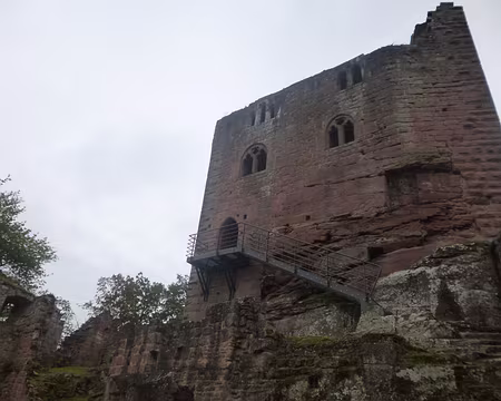 P1170631 Ruines du Nouveau Windstein (alt. 379 m.)