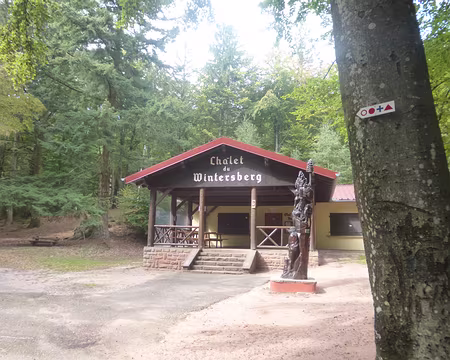 P1170634 Col de la Liese (alt. 514 m.)