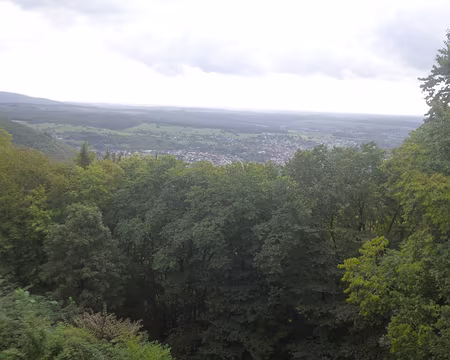 P1170653 Niederbronn depuis les ruines du château