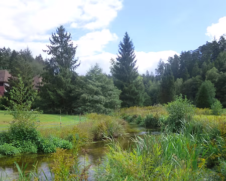 P1170664 La rivière Zinsel du Nord à Baerenthal (Moselle)