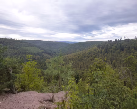 P1170724 J6 - La forêt vosgienne depuis le Rocher du Corbeau (alt. 347 m.)