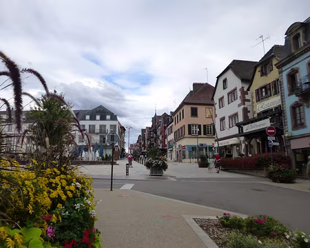 P1170741 La Grand-rue de Saverne