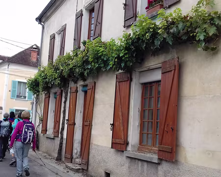 006 Treille dans la rue Morlot (Nanteuil)