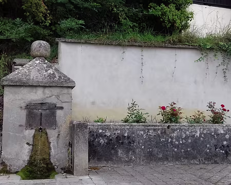 008 Fontaine (Nanteuil)