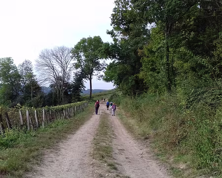 016 Sur les coteaux de Nanteuil entre bois et vignes