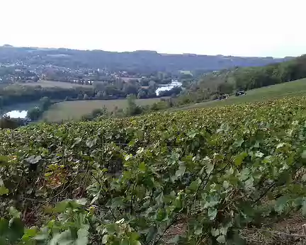 020 Les vignes et la vallée de la Marne