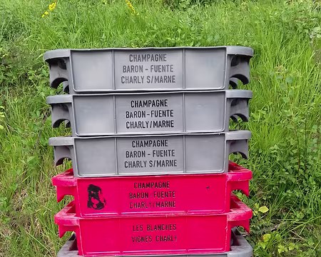 023 La récolte est acheminée vers les caves de Baron-Fuente à Charly-sur-Marne