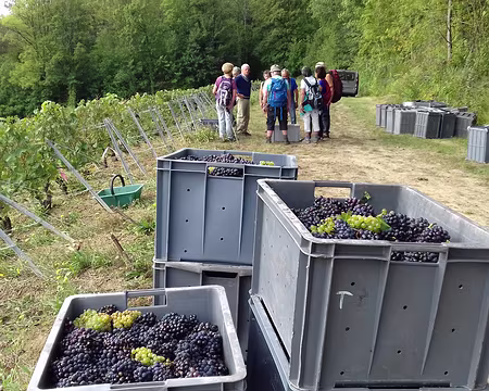 025 Rencontre avec les vignerons