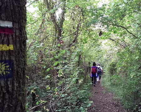 028 avant de rentrer dans les bois