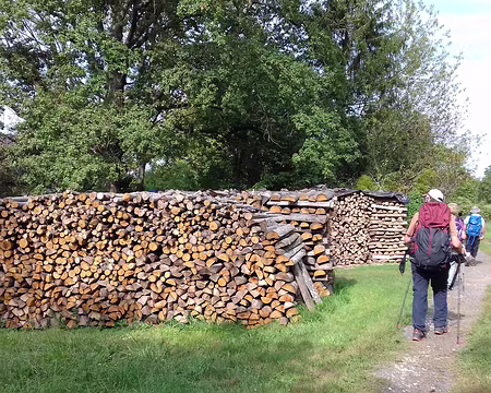 030 Du bois pour l’hiver