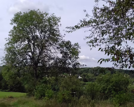 034 Pique-nique sur les hauteurs de Méry