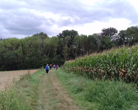 040 Paysages variés entre bois et champs