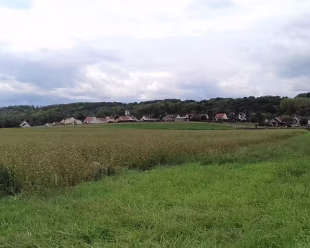 045 Merci Michel pour cette belle randonnée entre coteaux et bords de Marne