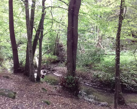 020 Le ru des Vaux, affluent de l’Yvette