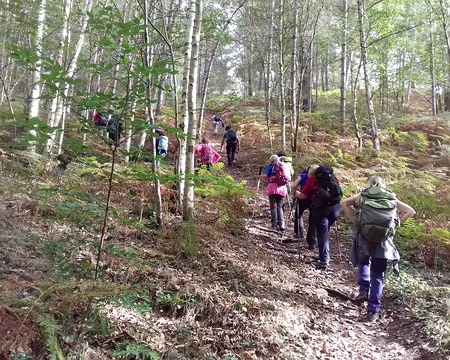 025 Petite montée …