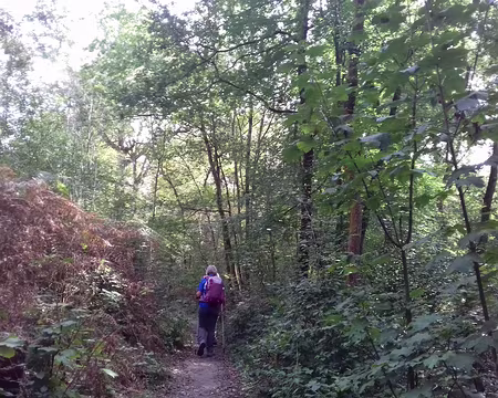 032 Le sentier des Maréchaux