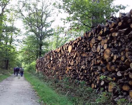 041 Merci Annie pour cette belle randonnée dans le parc naturel de la Haute Vallée de Chevreuse